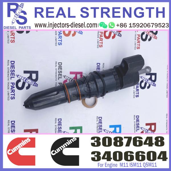 M11 ISM11 QSM11 Cummins Diesel Injector Engine Fuel Injection 3406604 3087648