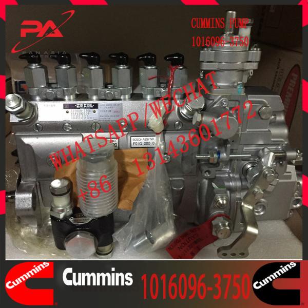 Quality 1016096-3750 Cummins Diesel Engine Fuel Injection Pump 3075537 3636943 wholesale