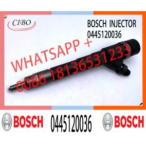 China Diesel Engine Fuel Pump Injector Assemblies 0445120036 Common Rail Injector 0445120036 on sale