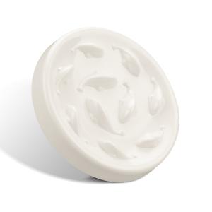 Trendy Slow Feed Pet Bowls - Aligning with Current Market Demands