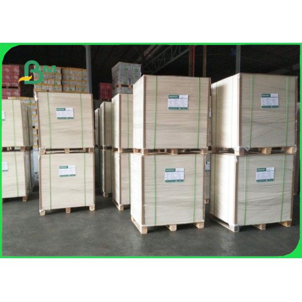 230gsm + 15g PE Coated Cup Paper For Hot Coffee Drink Strong Stiffness 790mm