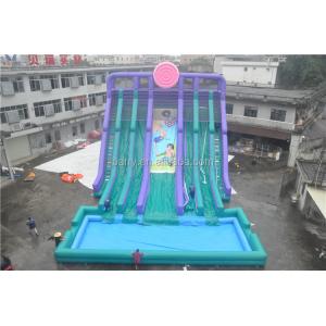Customize 4 Lanes Inflatable Water Slides With Pool Constant Blowing