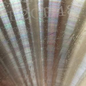 High quality 120B big sprocekt 120B48t 45C hardened teeth chain sprocket