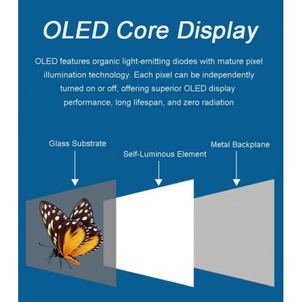 Indoor Digital Signage 4K Ultra HD Resolution Vertical Oled Transparent Screen Advertising Display with Pen/Finger Touch