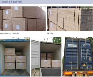 China poplar ,pine LVL /LVB timber use for packing furniture construction on sale