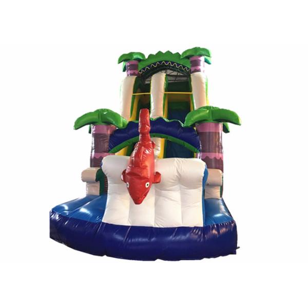 Quality Hot sale inflatable whale palm trees single dry slide with arch commercial inflatable small dry slide wholesale