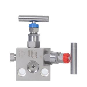 304 Stainless Steel Internal Thread Two Valve Group Integrated Instrument