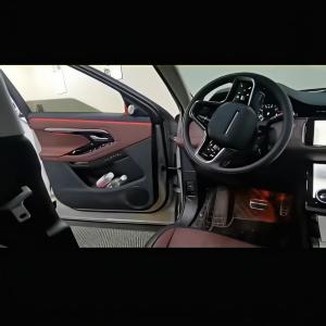 Light Guide Bracket 24 Lights Phantom colored Ambient Light for 20-24 Style Land