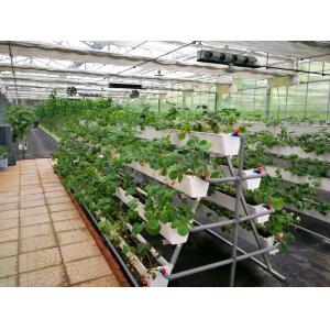 Juxiang's Humidity-Controlled Planting Facility The Perfect Solution for Plant