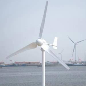 Home Off Grid 10kw Wind Turbine Hybrid Wind Solar Energy System