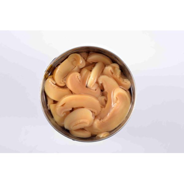 Quality Delicious Canned Champignon Mushroom With Rich Nutrition Short Lead Time wholesale