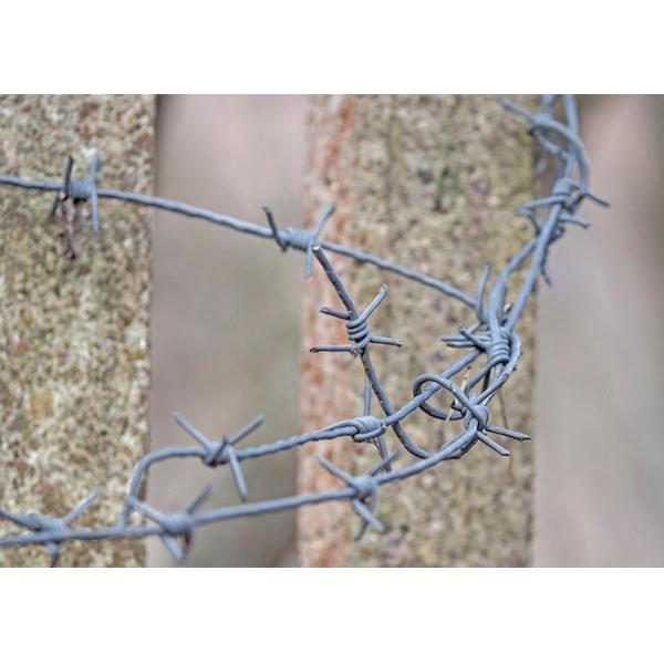 Quality Rust Resistance Double Twisted PVC Coated /Galvanized Barbed Wire Coils wholesale