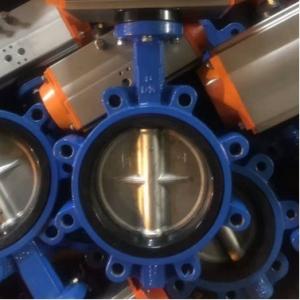 Water Media PN10 PN16 Rubber Seal Lug Type Butterfly Valve Lt Type Worm Actuated