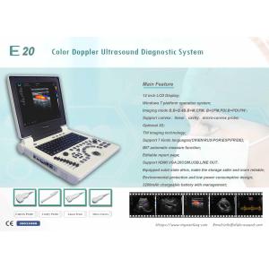 OEM Doppler Veterinary Ultrasound Machine Scanner Pig Cat Vet