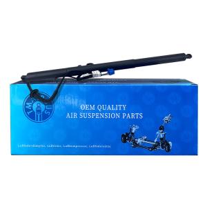 Customizable Fast Sliding Gate Opener 12V Voltage for Smooth and Fast Performanc