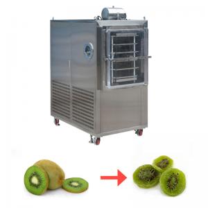 Cheap Dragon Fruit Fig Slice Freeze Drying Machine 50Kg Fruit Vacuum Freeze Dryer for sale