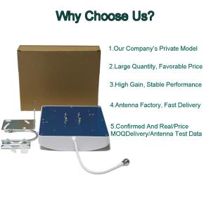 Maximum Input Power 100W Directional Radiation 4G Network Panel Antenna