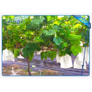 China Enviro Vegetable Garden Weed Barrier Agriculture Non Woven Cover Ground Weed Control Fabric on sale