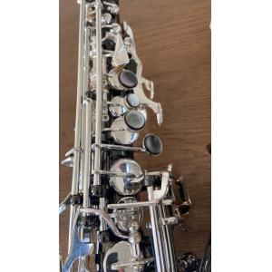 High-end saxophone, E flat, children, beginners, adults, playing musical
