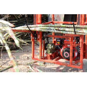 Farm Machinery for Sugarcane Farmer SL5 Sugarcane Lifting Machine/Mini Sugarcane