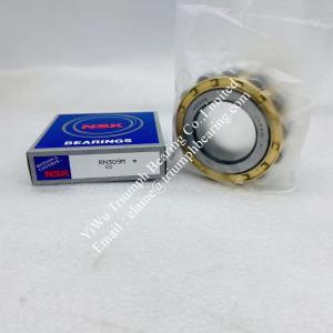 NSK Eccentric Bearing  RN309M
