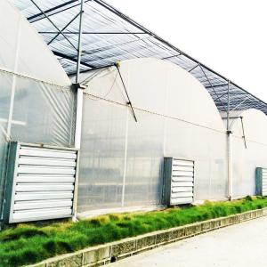 Cheap Negative Fan Cooling System Plastic Film Greenhouse Shading Multi Span Automatic for sale