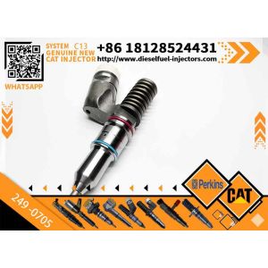 China Caterpillar Original Diesel Fuel Injector 249-0705 244-7695 New for C13 Excavator Engine Parts on sale