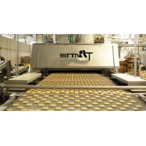 Industrial Automatic Pet Food Processing Equipment Dog Feed Biscuit Making