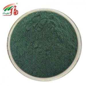 Cheap Sodium Copper Chlorophyll Powder Pure Natural Extract For Health Products for sale