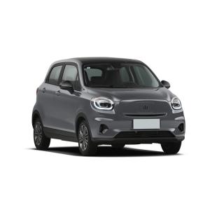 Leap into the Future with 's 2023 LeapMotor T03 Fast Charging Left Steering