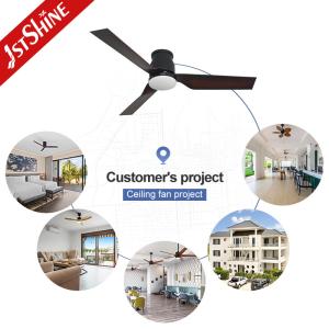 6 Speed Choice Plastic Blades LED Ceiling Fan with Light Flush Mount and Low