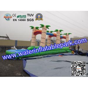 PVC Inflatable Single Lane Slip , Inflatable Water Slide Single Slip