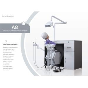 Storable Phantom Head Dental Simulator Unit Multifunctional Removable