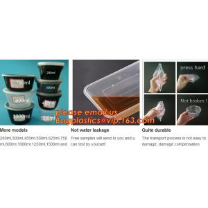 Reusable Take Away Plastic Salad Bowl With Fork And Dressing box and Source