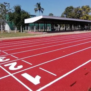 Quality Eco Friendly Prefabricated Rubber Running Track With IAAF Approved wholesale