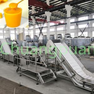 Cheap 380V 410V 20KW Mango Pulp Making Machine Stainless Steel for sale