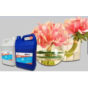 Crystal Clear Epoxy Resin Arts And Crafts