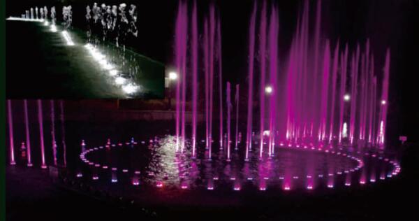 Low Voltage Underwater Pond Lights 316 SS With Strong Corrosion Resistant 8 Inch