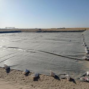 Cheap HDPE Geomembrane for Fish Shrimp Pond in Indonesia 1mm Thickness Durable Material for sale