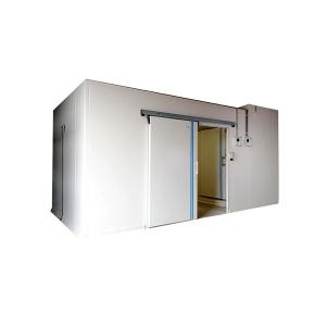 50 Tons Air Cooled Cold Storage Room with Customized Options and Standard Return