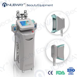 CE approved newest cryo lipolysis body slimming device cryolipolysis fat freeze