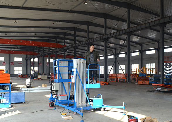 8m 100kg Single Mast Aerial Work Platform Lift for Window Cleaning 100kg Capacity