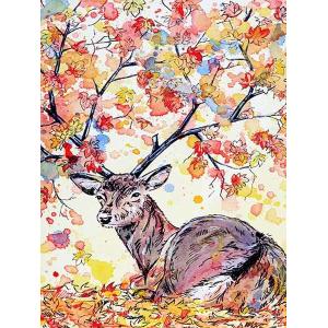 Printed roller zebra blinds roller shades / Motorized roller blinds for window /