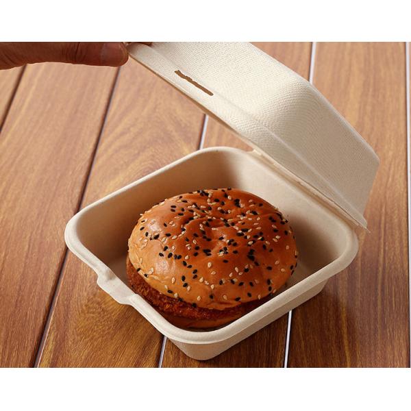Eco-friendly Biodegradable Burger Box Wholesale Custom Sugarcane Clam Box Fast