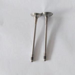 China Replacement Diesel Engine Parts  J18 TD21  Intake And Exhaust Valve For Nissan 13201-24W00 on sale