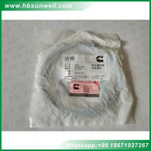 Cummins M11 ISM11 QSM11 Diesel Engine Cylinder Liner Kits Rectangular Ring Seal