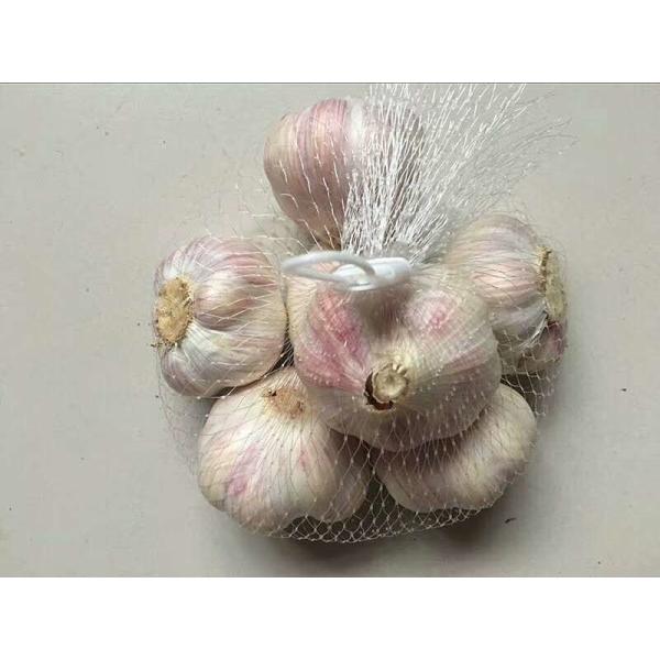 Packaging Mesh Net Bags 80 Mesh 35m Length 5-8 Years Lifespan For Garlic /