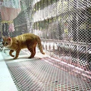 100% HDPE Factory price plastic poultry chicken aviary netting extruded plastic