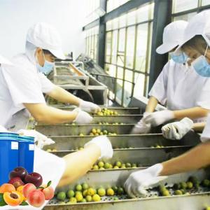 China Food Grade Equipment Used In Fruit Juice Processing Juice Concentration on sale