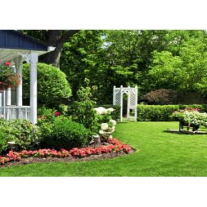 High Destiny Garden Artificial Grass Synthetic Turf Carpet 35mm